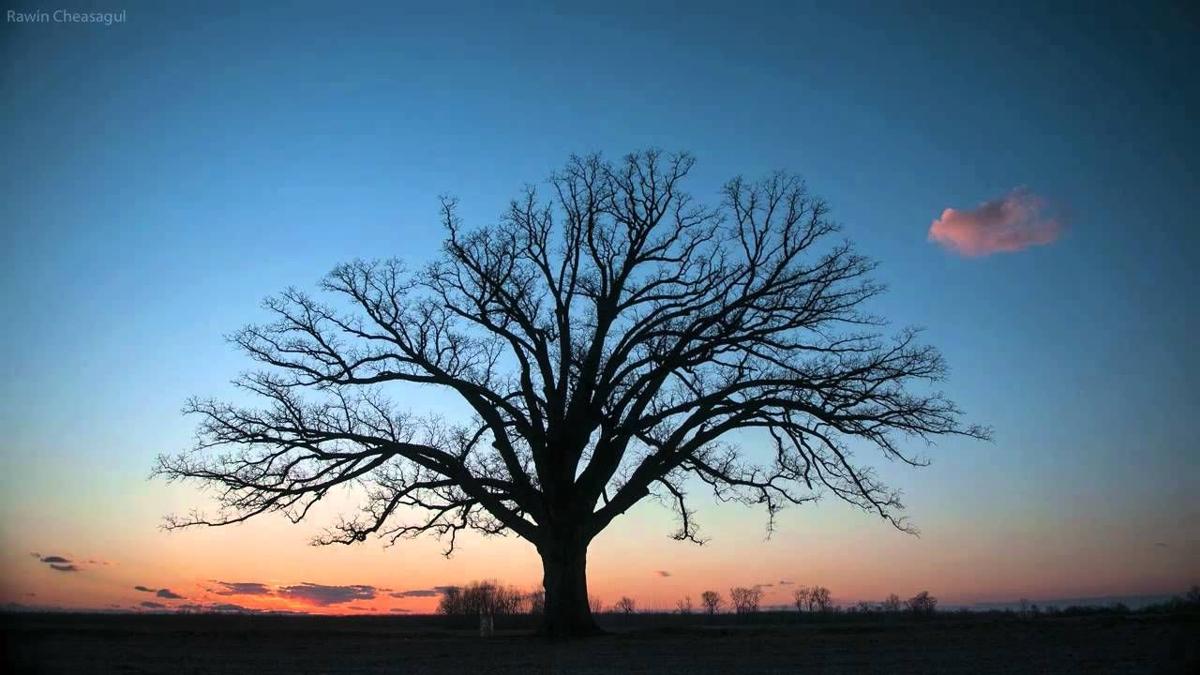 4 ways to spend a spring day in Columbia Vox Magazine