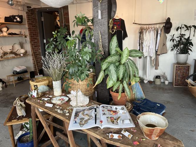 A display with plants and jewelry in Hedda's storefront