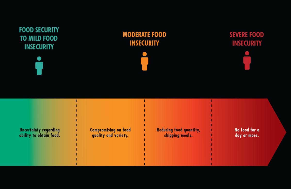 faq-what-is-food-insecurity-food-drink-vox-magazine