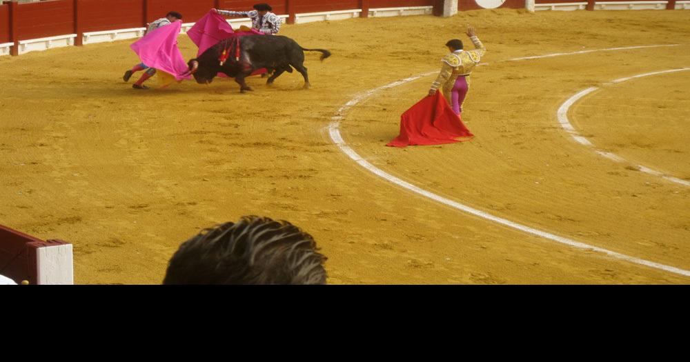Banning Bullfighting | Arts | Vox Magazine
