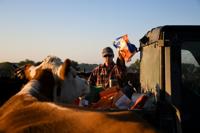 Ben Thomas's cattle crisis