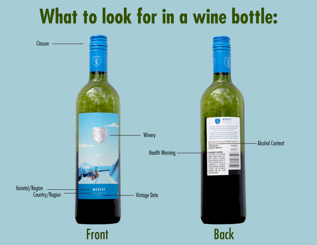 Wine Bottle Infographic