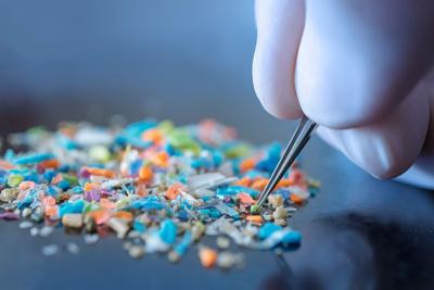 Bacterial slime on microplastics help breed antibiotic-resistant superbugs, study says