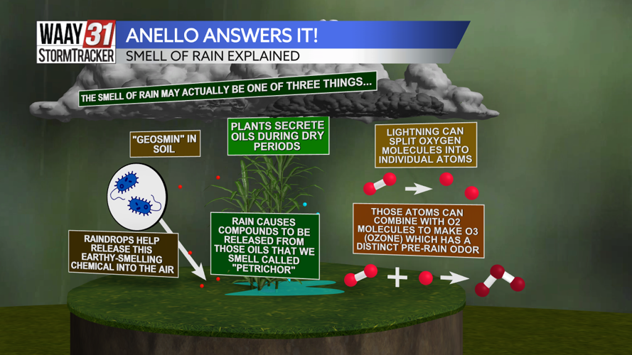 Anello Answers It: Smell of rain Explained