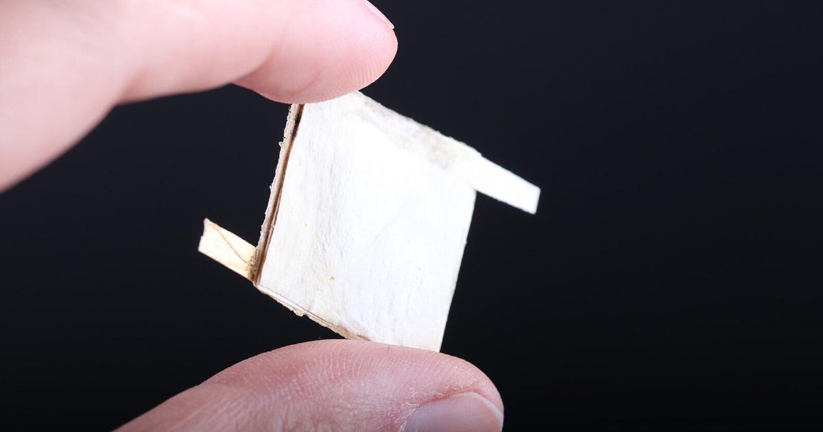 Scientists have used mushrooms to make biodegradable computer chips ...