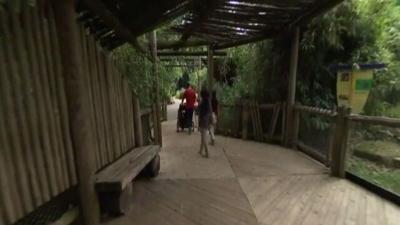 Voters could decide if zoo comes to Limestone County