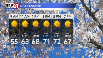 Wednesday Forecast