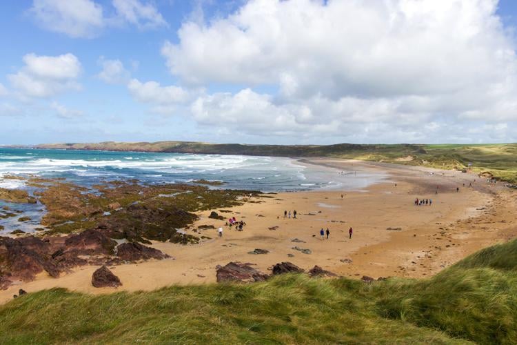 Harry Potter' fans warned to stop leaving socks at Dobby's grave on a beach  in Wales