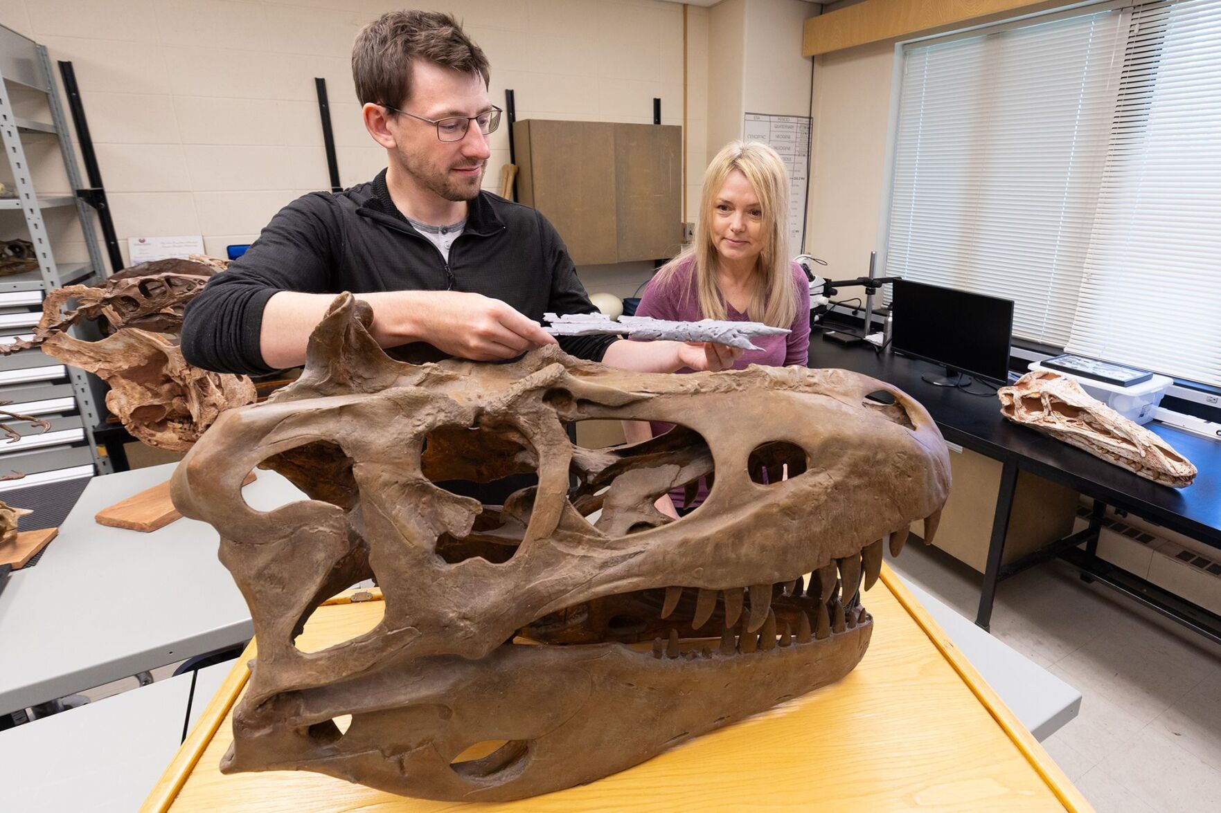 Dragon prince' dinosaur discovery is changing how scientists