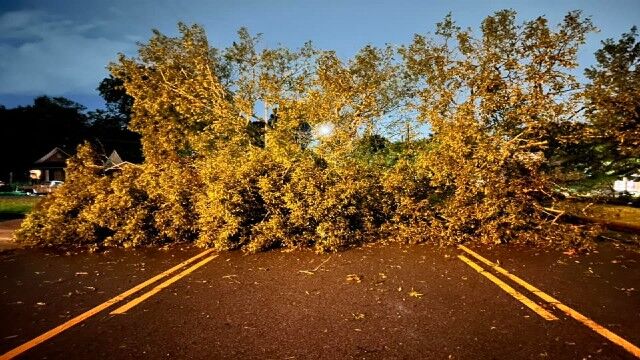 Decatur Utilities reminds people to stay clear of downed power lines, trees throughout the city