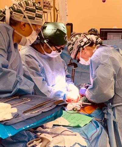 Brain-dead Huntsville man receives pig kidneys in break-through surgery