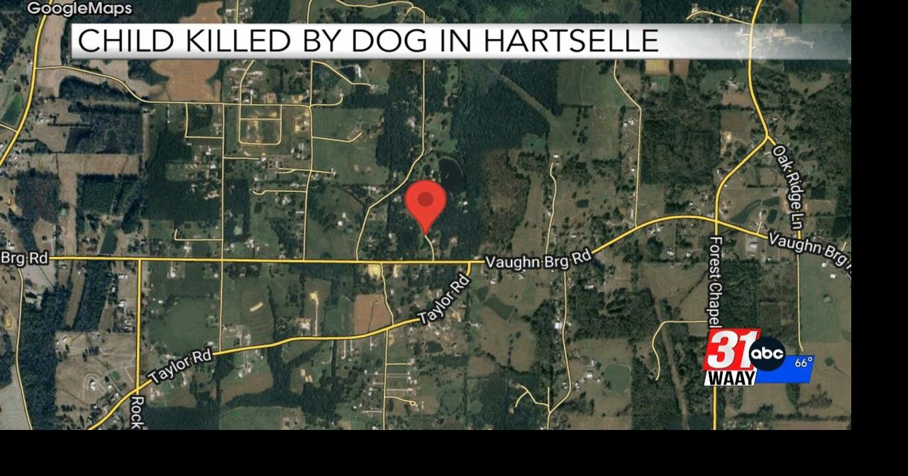Child Killed by Dog in Hartselle Video