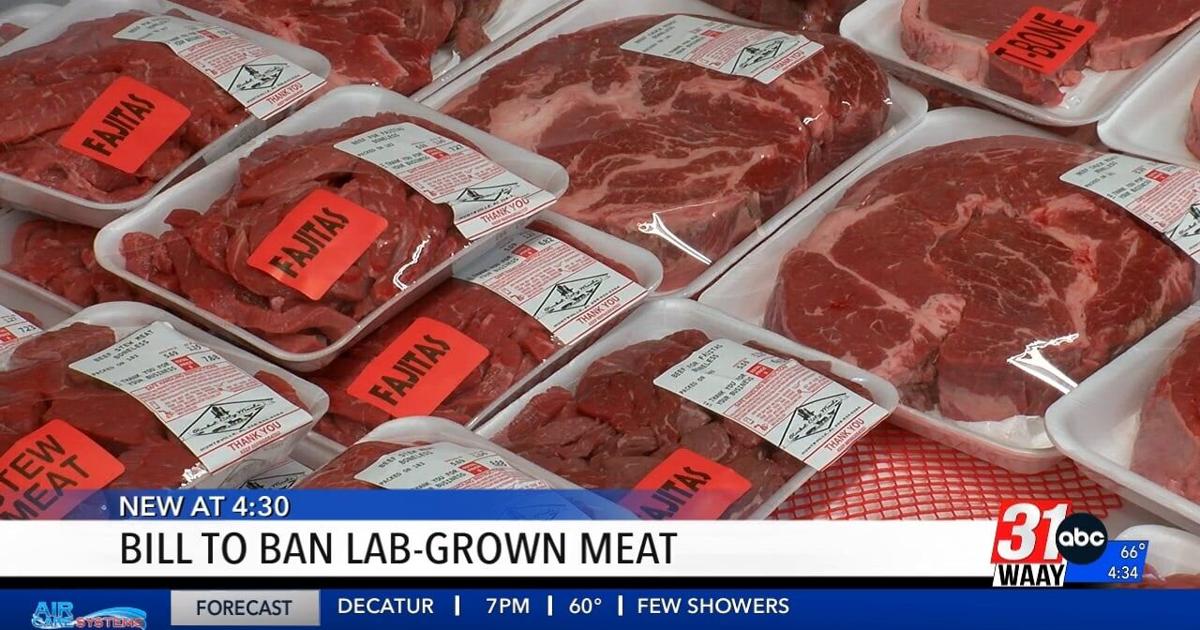 Alabama House passes bill banning lab-grown meat | Video | waaytv.com
