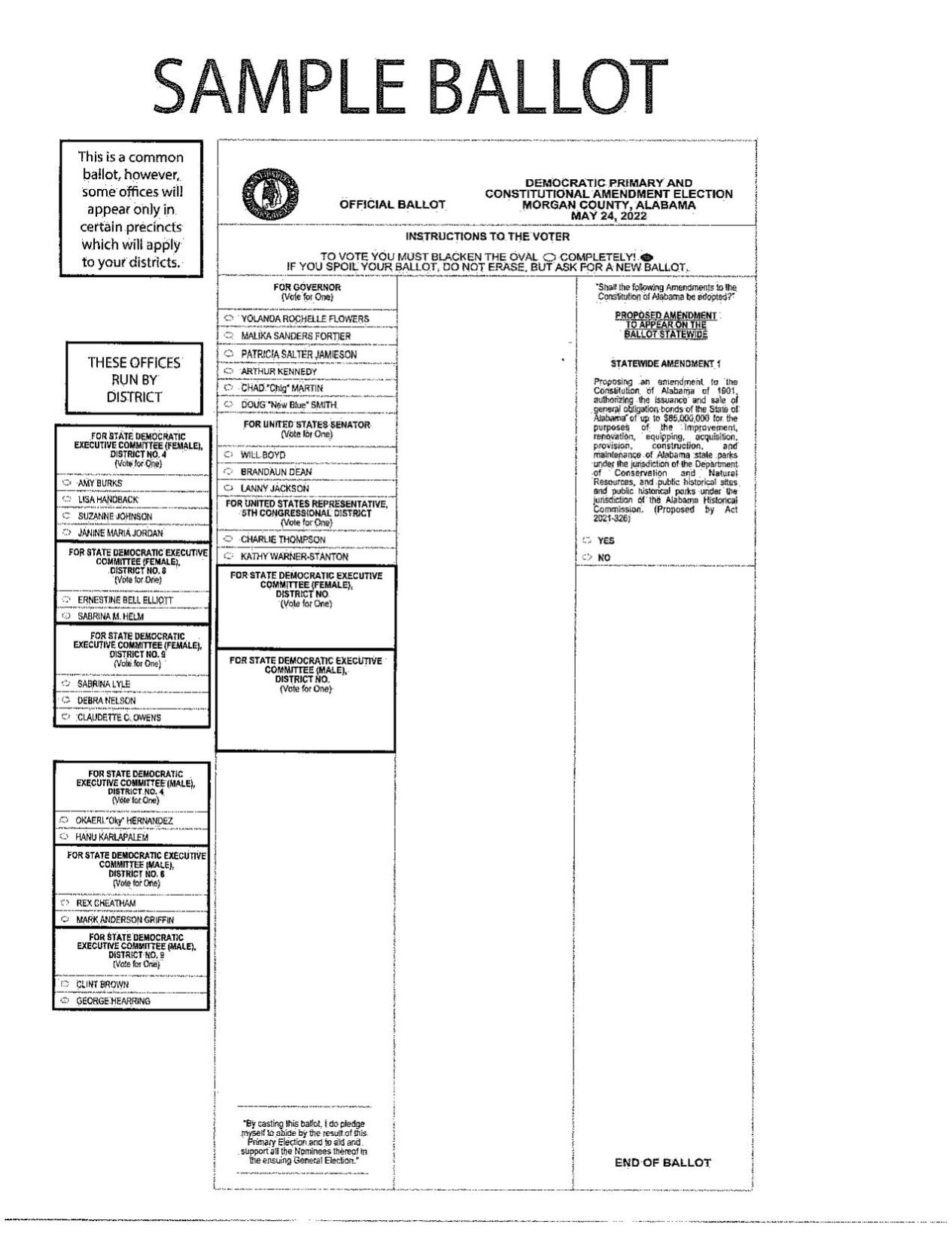 County Sample Democrat Ballot May 2022