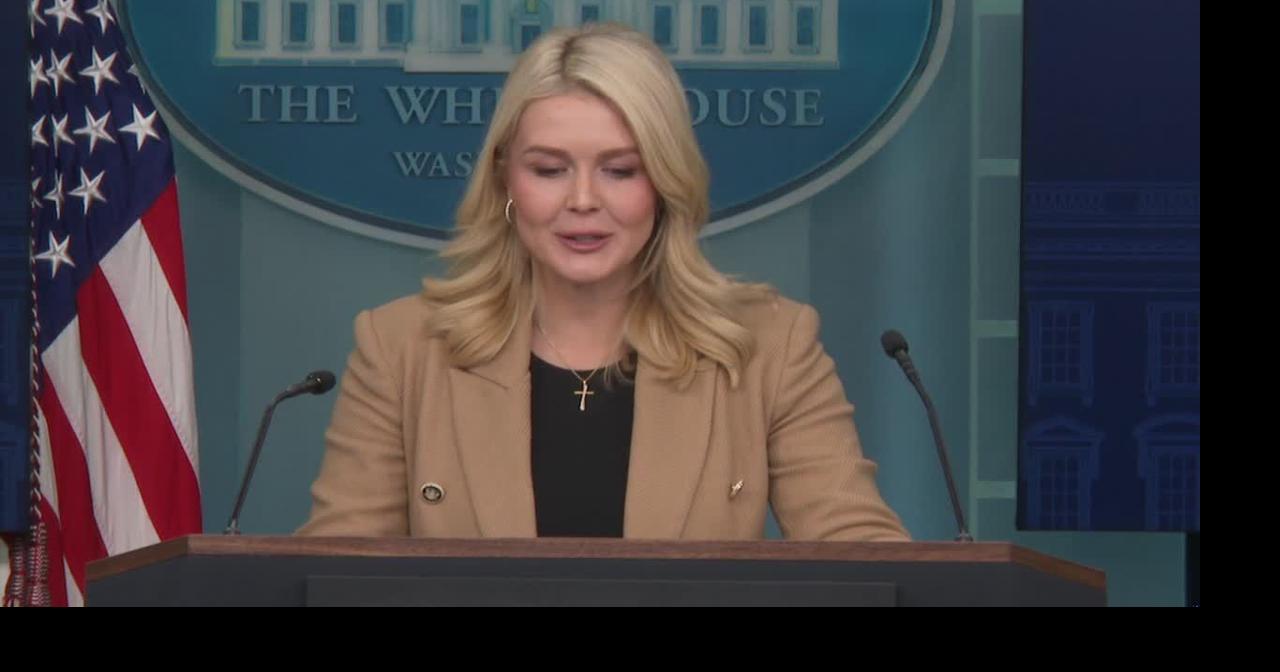 Karoline Leavitt: Donald Trump demands lower credit card interest rates