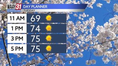 Afternoon forecast today