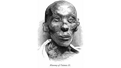 Tomb of ancient Egyptian king unearthed in ‘remarkable’ discovery