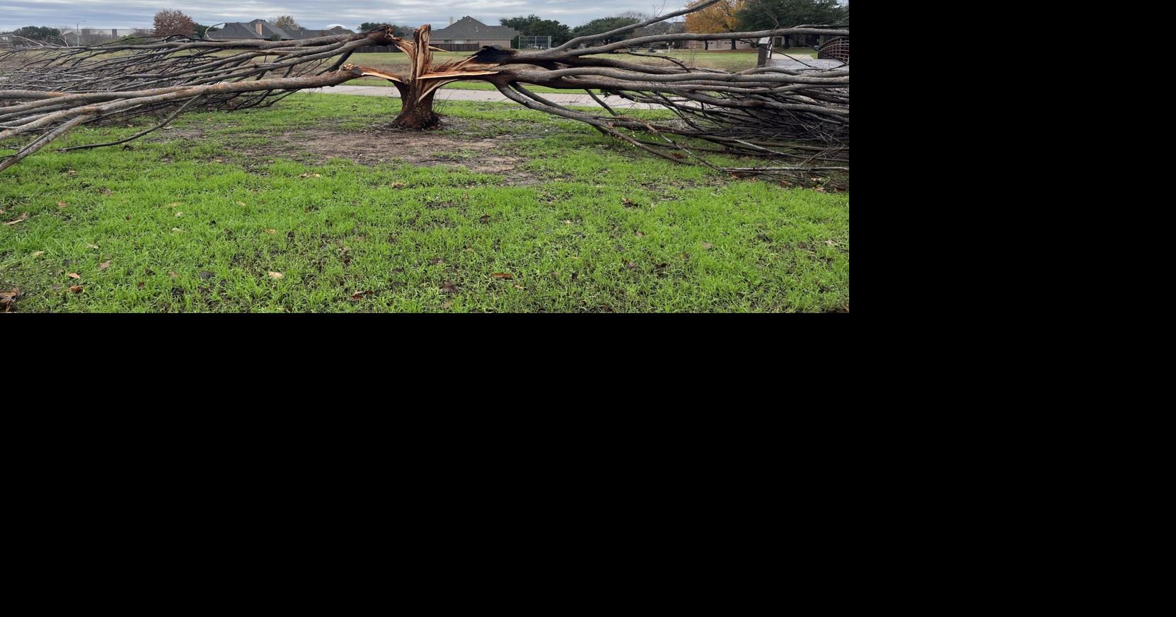 texas-storm-damage-waaytv