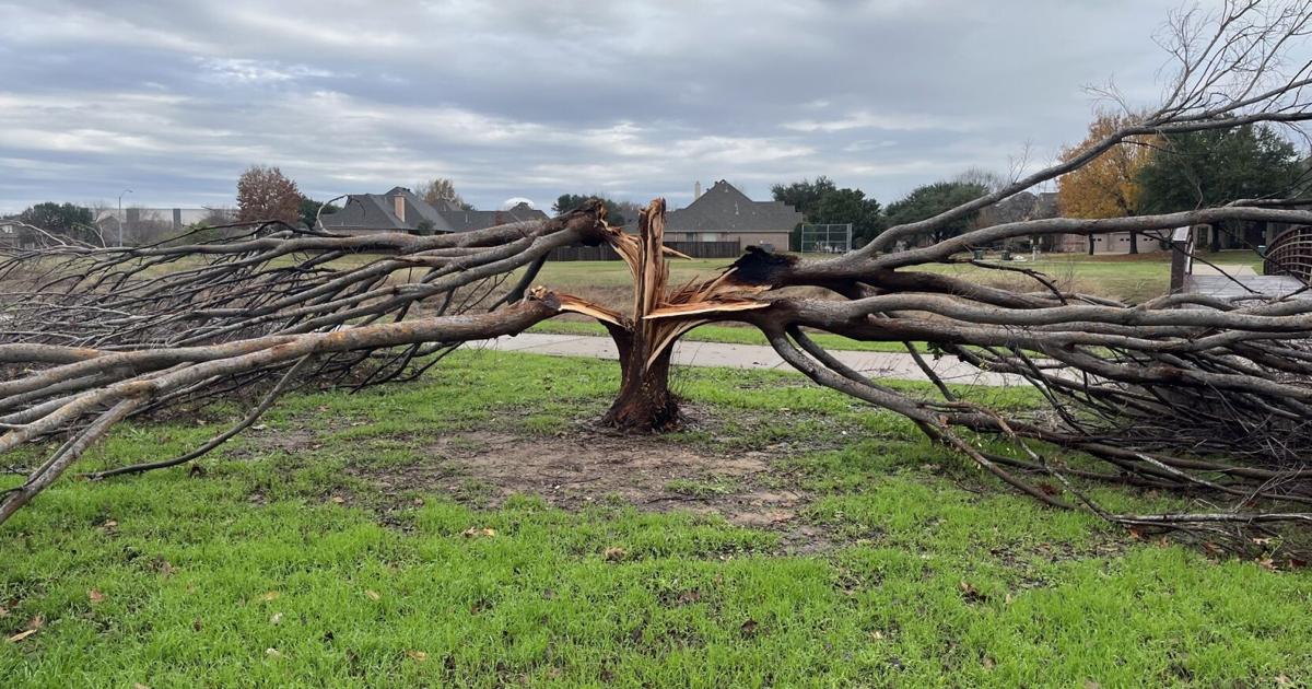 Texas Storm Damage Waaytv texas-storm-damage-waaytv