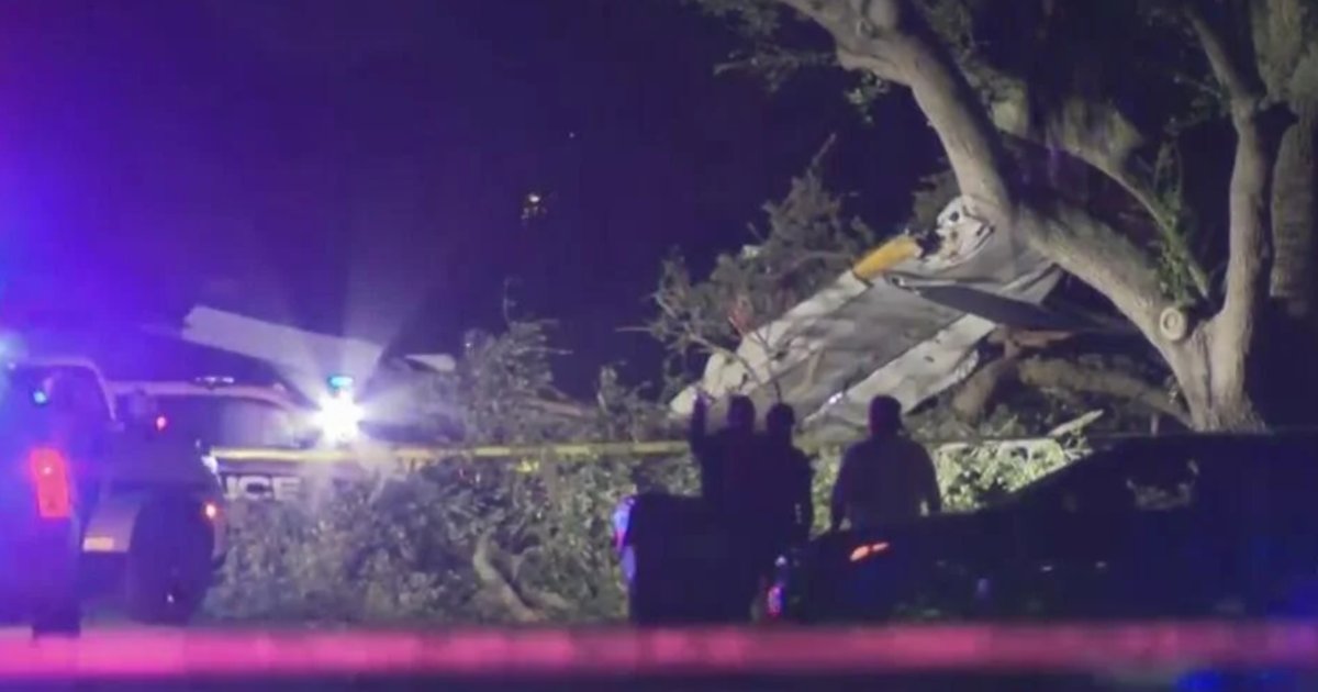 4 hospitalized but safe after small plane crashes in neighborhood, officials say