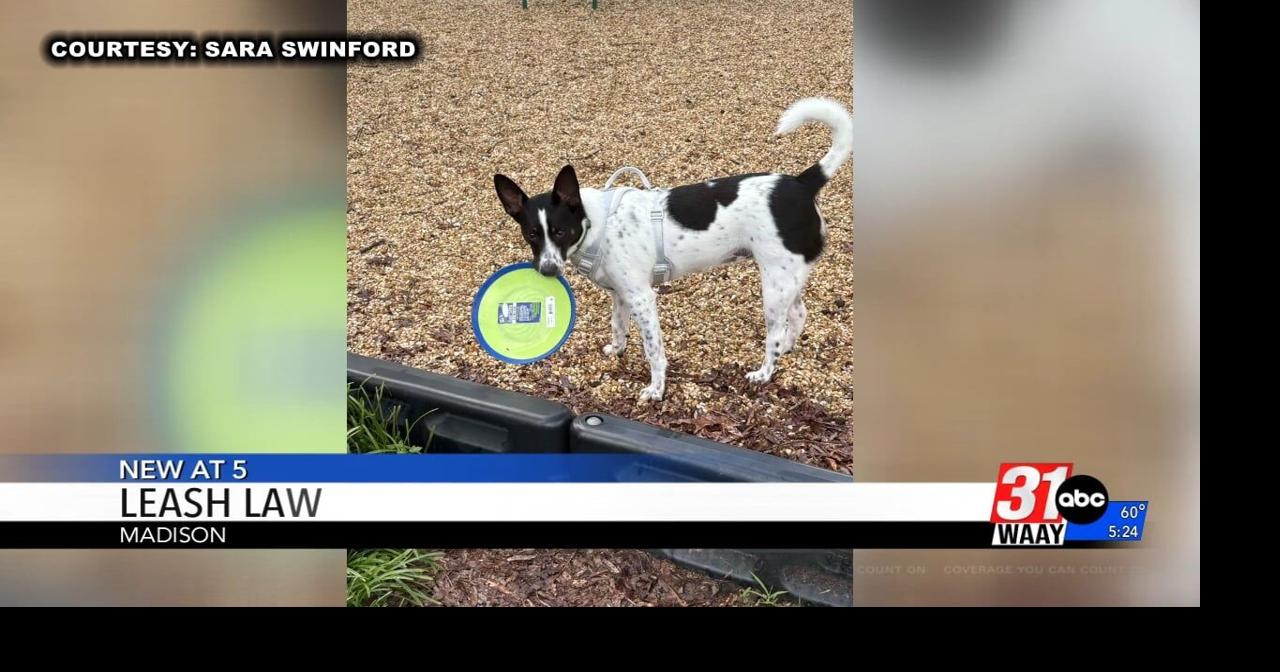 Madison County residents raise concerns over loose dogs