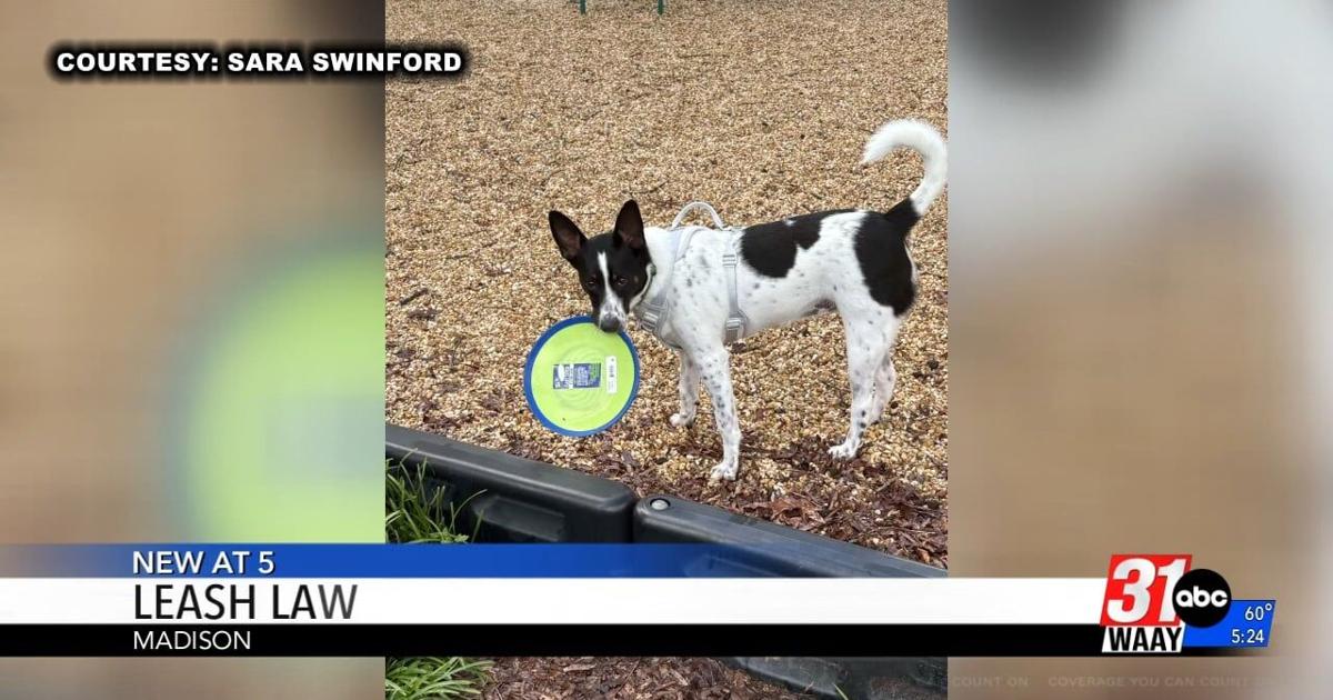 Madison County residents raise concerns over loose dogs
