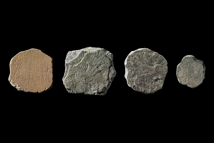 Neolithic people in Denmark sacrificed ‘sun stones’ after climate cataclysm, scientists say