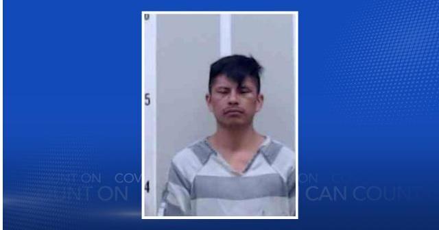 Deputies arrest Albertville man after pursuit ends in crash