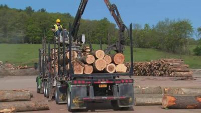 Lumber prices affecting non-profit organizations home builds