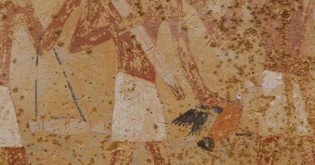 Colorful paintings of daily life uncovered in 4,300-year-old Egyptian tomb