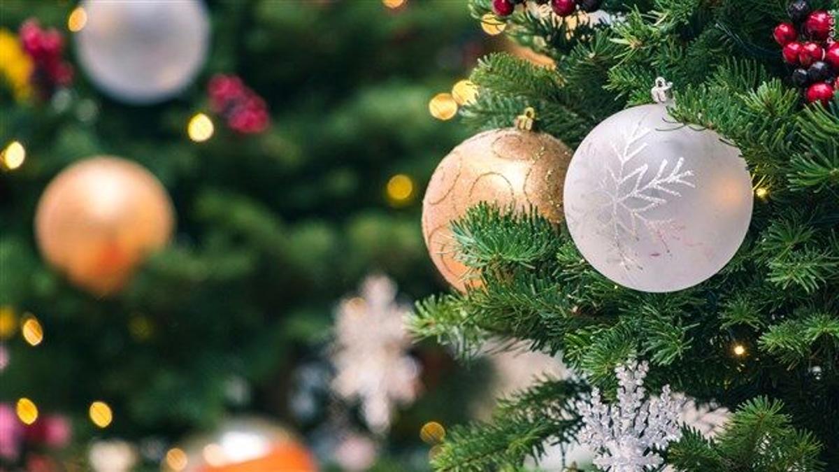Fort Payne Alabama Christmas Parade 2022 Fort Payne, Scottsboro Reschedule Christmas Parades Due To Weather | News |  Waaytv.com