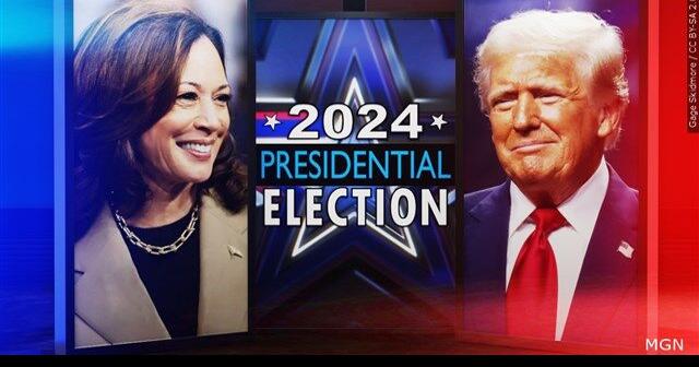 WATCH LIVE: Vice President Kamala Harris addresses the nation after presidential election defeat