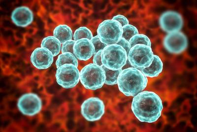There are millions of sexually transmitted infections in the US every year, but new data shows the epidemic may be slowing