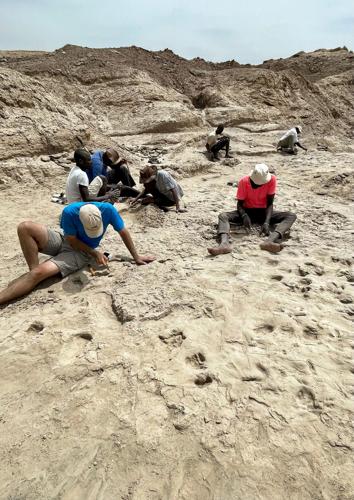 Discovery of fossilized footprints reveals the moment two ancient human species crossed paths