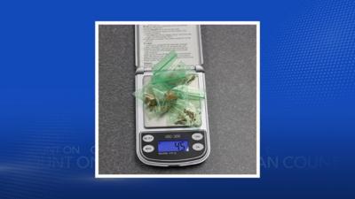 Lauderdale County drug bust