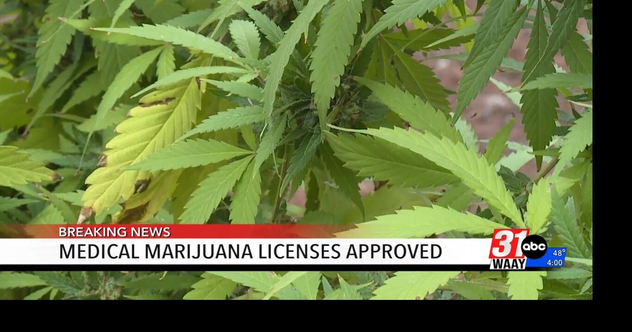Alabama approves medical marijuana licenses after long delay