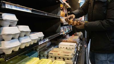 Could bird flu vaccines help tackle high egg prices? Experts say it’s not so simple