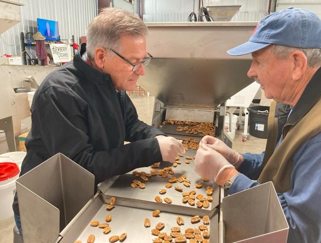 Pecans with personality, deeply rooted in North Alabama Features