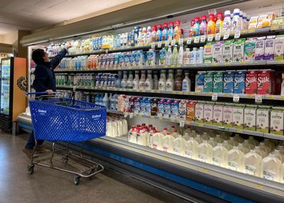 US health agencies launch new studies of H5N1 bird flu in dairy workers and dairy products