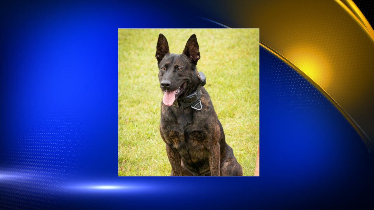 Huntsville Police K-9 returns home after serious injuries on Tuesday