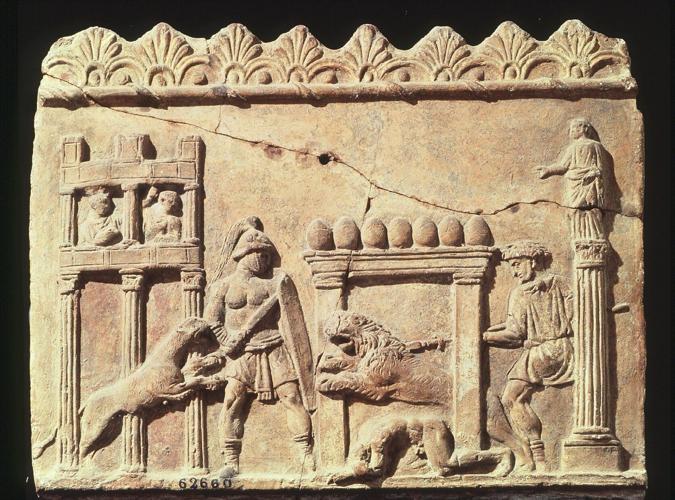 A bite from a lion likely led to the demise of a gladiator, new research finds