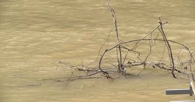 Lauderdale EMA warns: Know your flood risk, get to higher ground