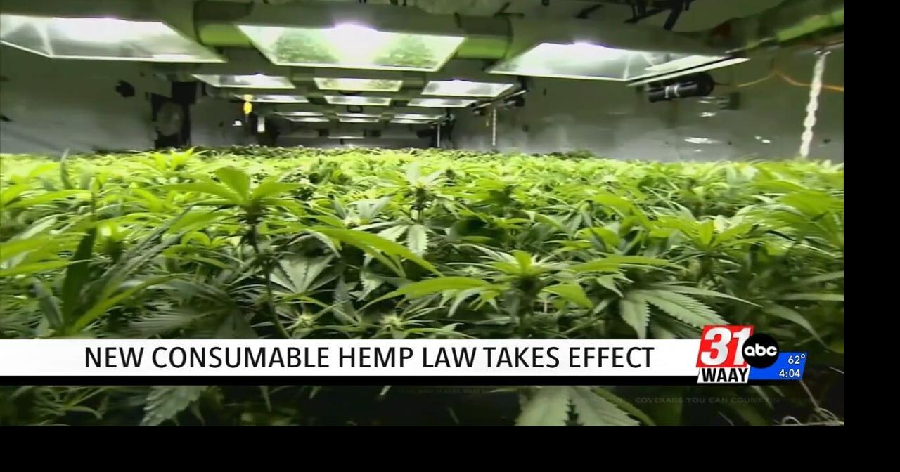 New consumable hemp law takes effect in Alabama