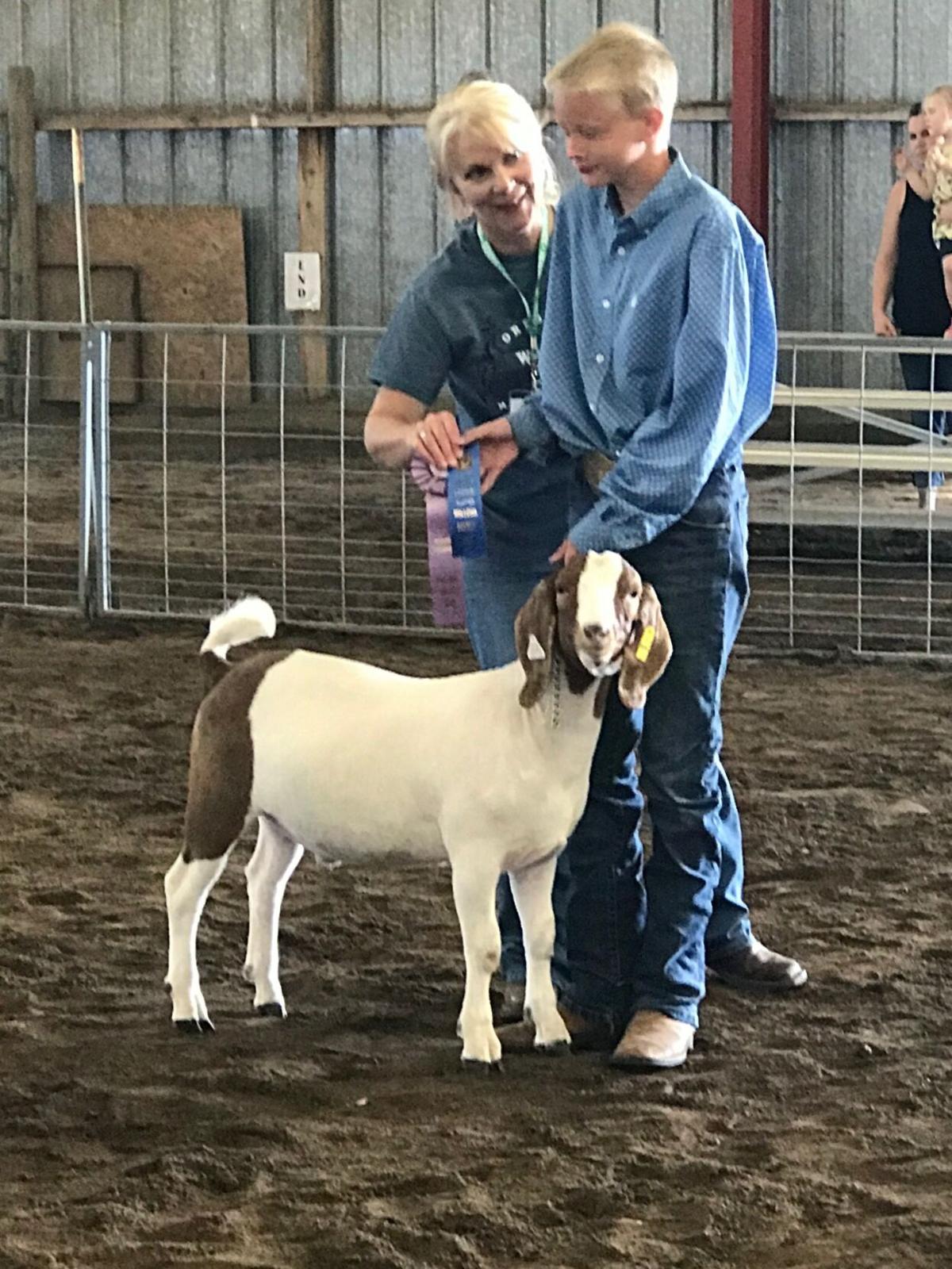 Planning, preparations being made for Wallowa County Fair Local News