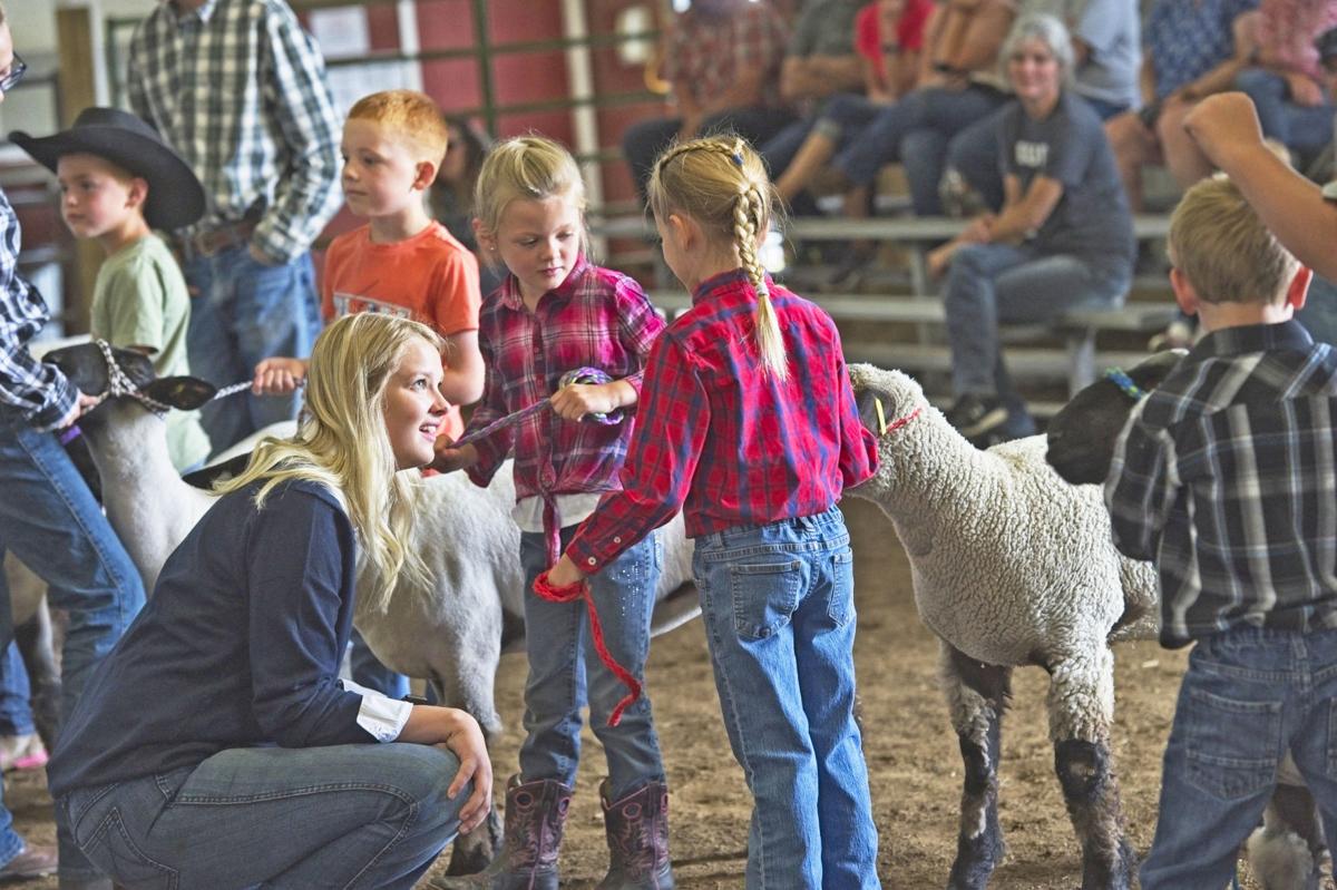 Wallowa County Fair 2019 News