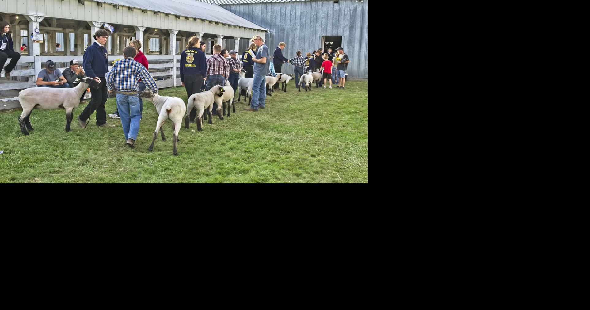 Wallowa County Fair definitely a 'go' Life