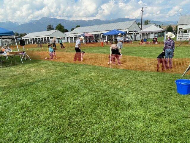 Might Mutts club members compete at the Wallowa County fair