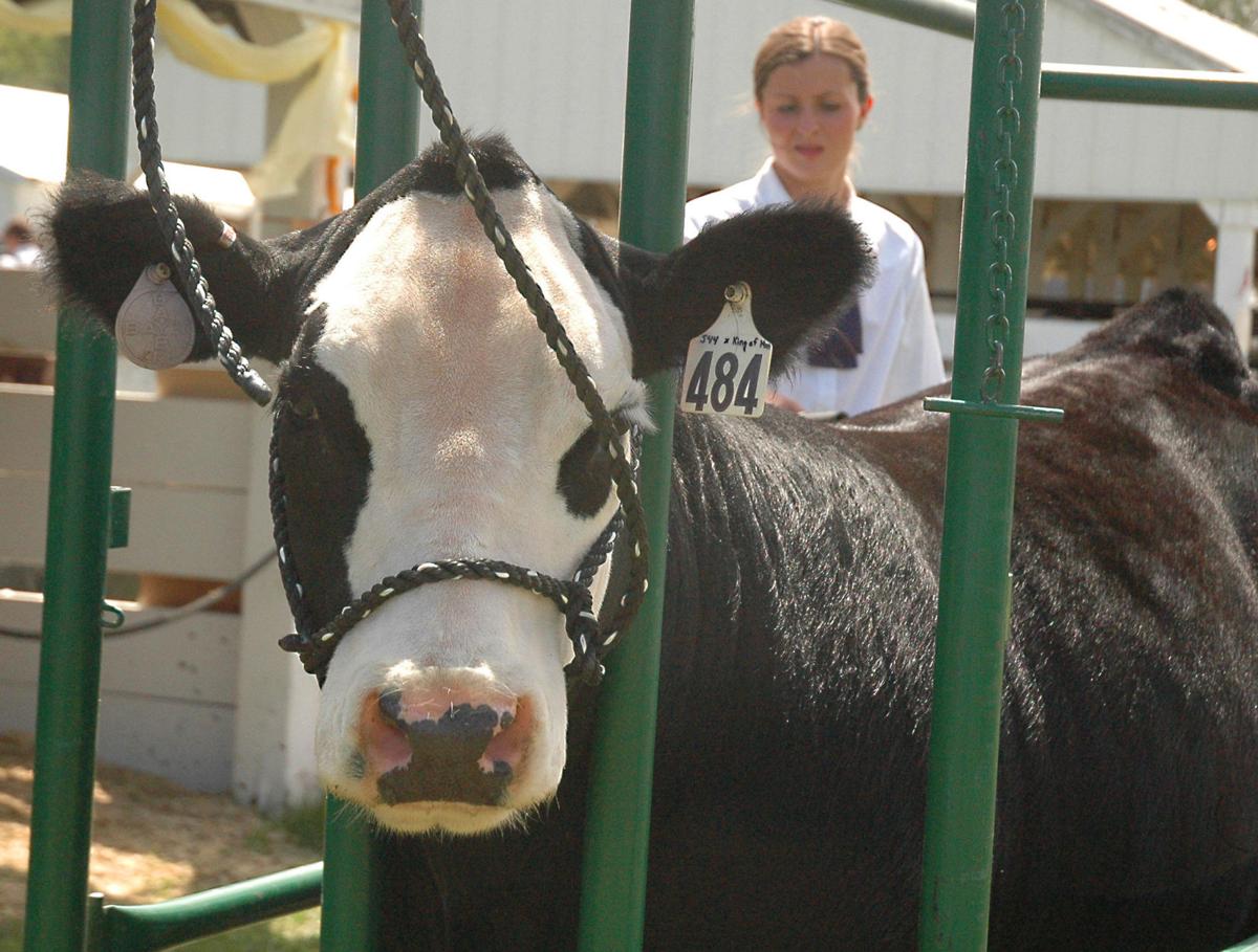 Wallowa County Fair kicks off Saturday in Enterprise Local News