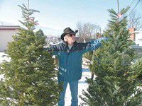 Quest for the perfect Christmas tree