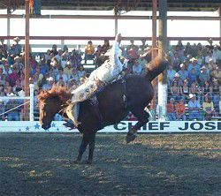 CJD rodeo set to host 2006's top cowboys